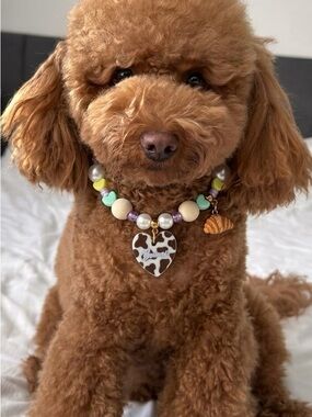 Custom Handmade Pet ID Tag Collar Necklace /Personalized Cow Print Resin Dog Tag